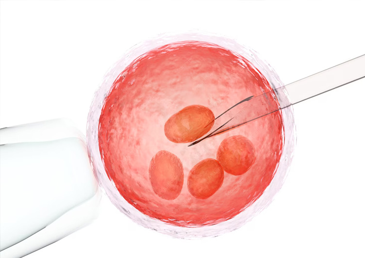 IVF & Fertility Treatments in Vijayawada at Ashwa Hospitals